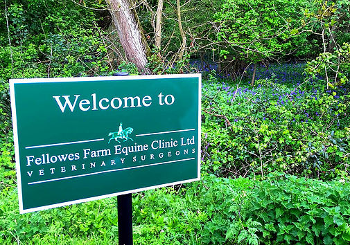 Welcome to Fellows Farm equine vets in Huntingdon 