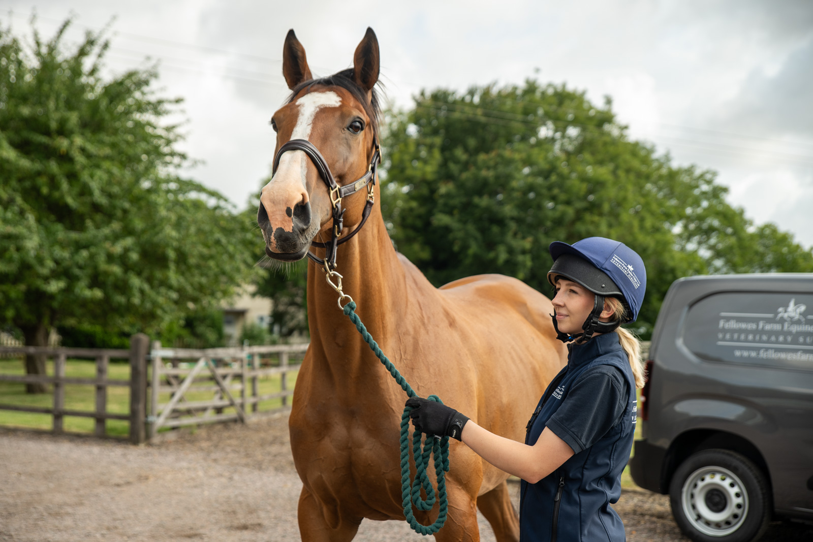 CH-and-horse-ears-foward-2-1