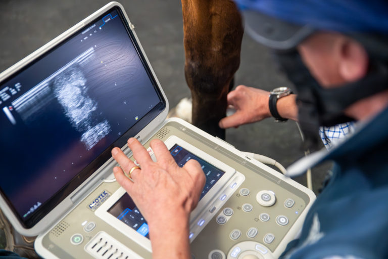 Ultrasound